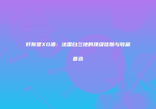 轩斯堡XO酒：法国白兰地的顶级佳酿与收藏首选
