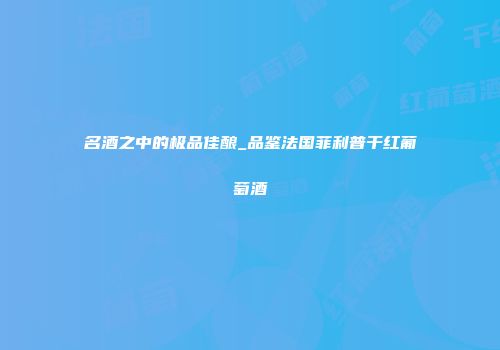 名酒之中的极品佳酿_品鉴法国菲利普干红葡萄酒
