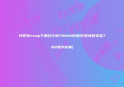 轩尼诗vsop干邑白兰地700ml价格(轩尼诗百乐廷700毫升价格)
