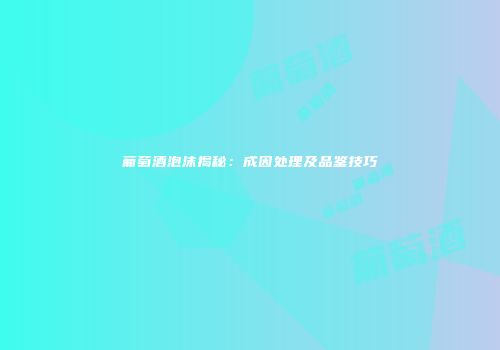 葡萄酒泡沫揭秘：成因处理及品鉴技巧
