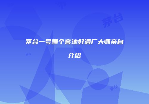 茅台一号哪个窖池好酒厂大师亲自介绍