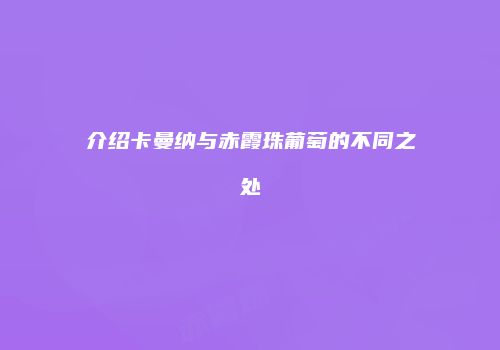 介绍卡曼纳与赤霞珠葡萄的不同之处