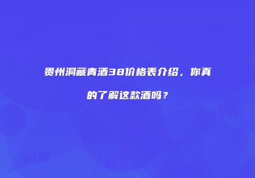 贵州洞藏青酒38价格表介绍，你真的了解这款酒吗？