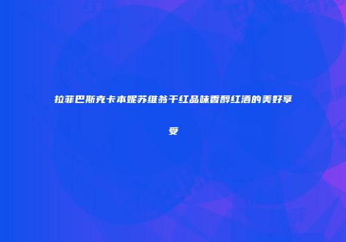 拉菲巴斯克卡本妮苏维翁干红品味香醇红酒的美好享受
