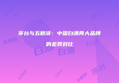 茅台与五粮液：中国白酒两大品牌的差异对比