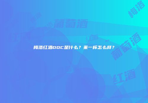 梅洛红酒DOC是什么？来一杯怎么样？