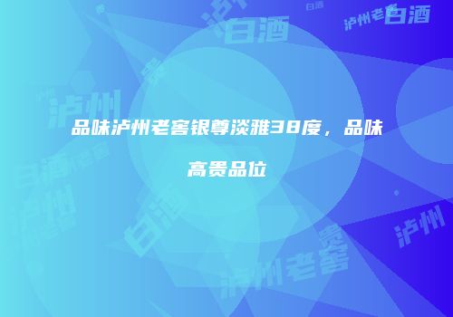 品味泸州老窖银尊淡雅38度，品味高贵品位