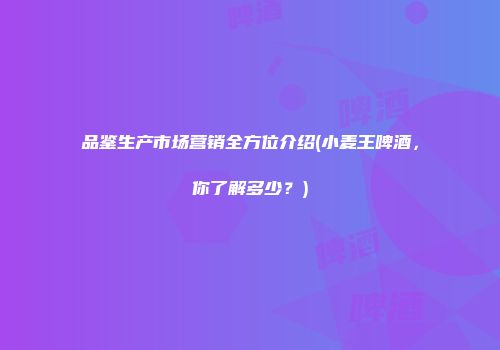 品鉴生产市场营销全方位介绍(小麦王啤酒，你了解多少？)