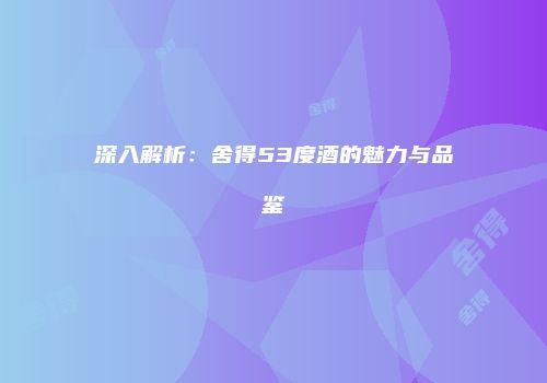 深入解析：舍得53度酒的魅力与品鉴