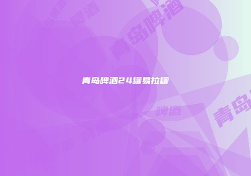 青岛啤酒24罐易拉罐