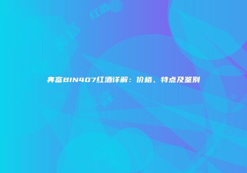 奔富BIN407红酒详解：价格、特点及鉴别
