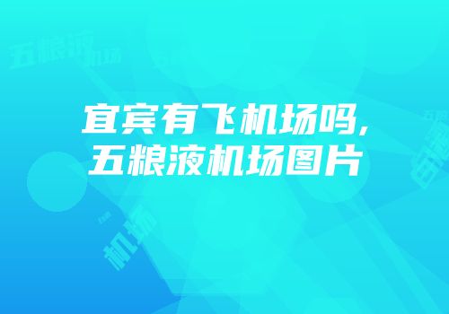 宜宾有飞机场吗,五粮液机场图片