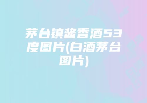 茅台镇酱香酒53度图片(白酒茅台图片)