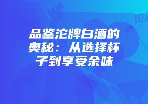 品鉴沱牌白酒的奥秘：从选择杯子到享受余味