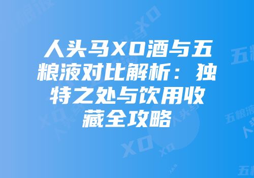 人头马XO酒与五粮液对比解析：独特之处与饮用收藏全攻略