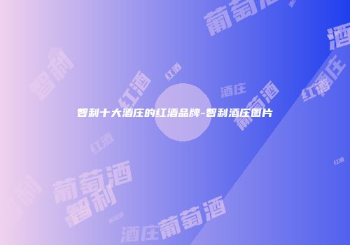 智利十大酒庄的红酒品牌-智利酒庄图片
