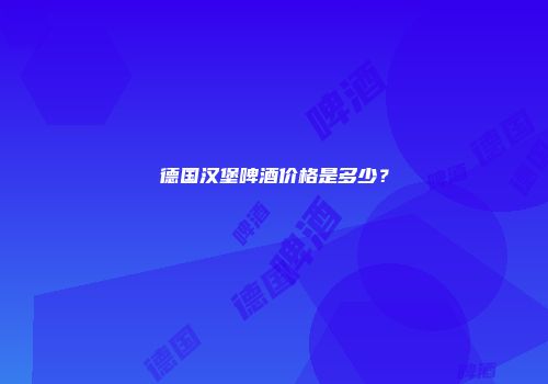 德国汉堡啤酒价格是多少？
