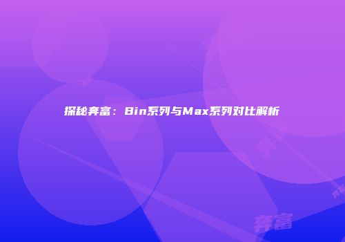 探秘奔富：Bin系列与Max系列对比解析