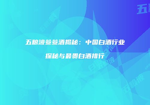 五粮液叁叁酒揭秘：中国白酒行业探秘与最贵白酒排行