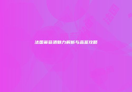法国葡萄酒魅力解析与品鉴攻略