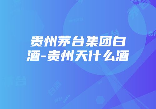 贵州茅台集团白酒-贵州天什么酒