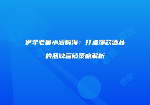 伊犁老窖小酒嗨海：打造爆款酒品的品牌营销策略解析