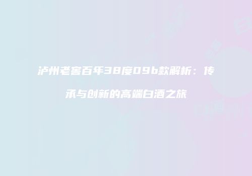 泸州老窖百年38度09b款解析：传承与创新的高端白酒之旅