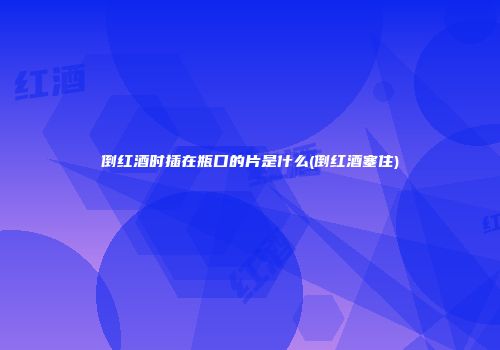 倒红酒时插在瓶口的片是什么(倒红酒塞住)