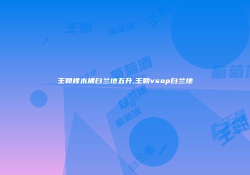 王朝橡木桶白兰地五升,王朝vsop白兰地