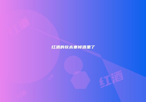 红酒的软木塞掉酒里了