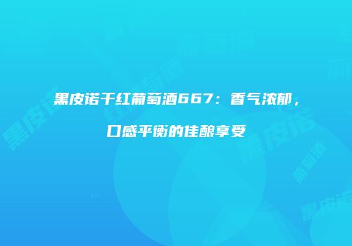 黑皮诺干红葡萄酒667：香气浓郁，口感平衡的佳酿享受