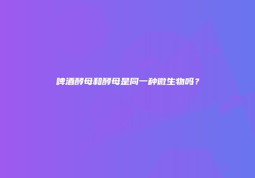 啤酒酵母和酵母是同一种微生物吗？