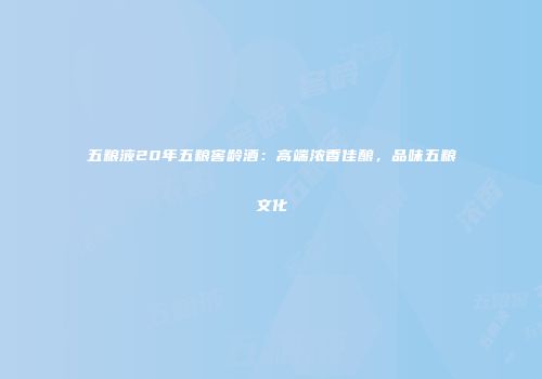 五粮液20年五粮窖龄酒：高端浓香佳酿，品味五粮文化