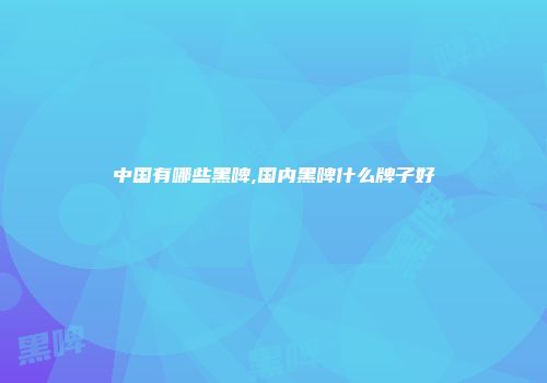 中国有哪些黑啤,国内黑啤什么牌子好