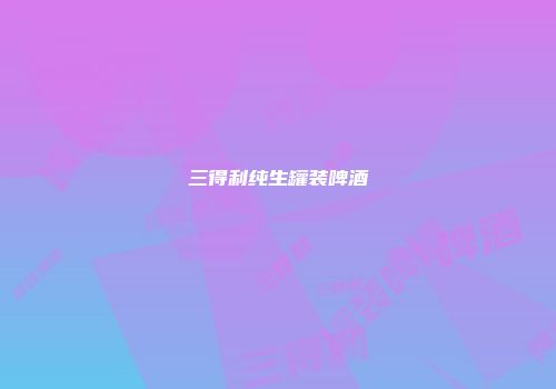 三得利纯生罐装啤酒