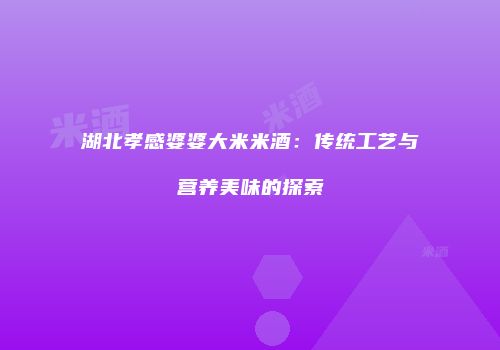 湖北孝感婆婆大米米酒：传统工艺与营养美味的探索