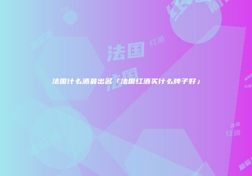 法国什么酒最出名「法国红酒买什么牌子好」