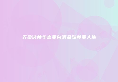 五梁液荣华富贵白酒品味尊贵人生