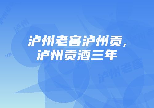 泸州老窖泸州贡,泸州贡酒三年