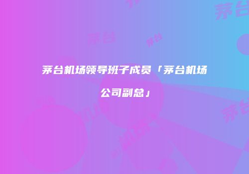 茅台机场领导班子成员「茅台机场公司副总」