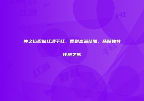 神之拉巴斯红酒干红：智利高端佳酿，品味独特佳酿之旅