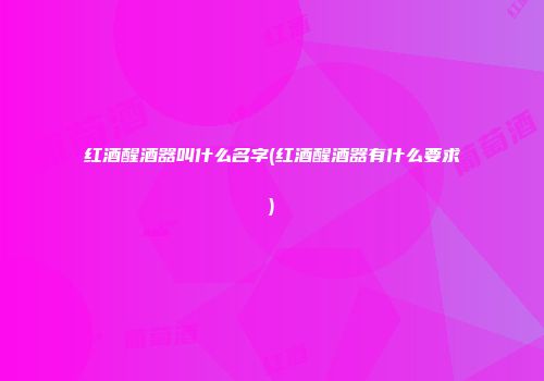 红酒醒酒器叫什么名字(红酒醒酒器有什么要求)