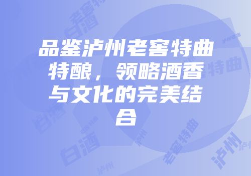 品鉴泸州老窖特曲特酿，领略酒香与文化的完美结合