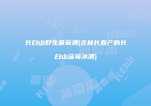 长白山野生葡萄酒(吉林长春产的长白山蓝莓冰酒)