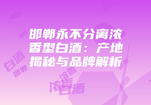 邯郸永不分离浓香型白酒：产地揭秘与品牌解析
