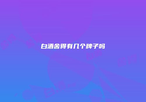 白酒舍得有几个牌子吗