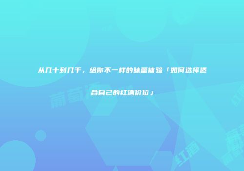 从几十到几千，给你不一样的味蕾体验「如何选择适合自己的红酒价位」