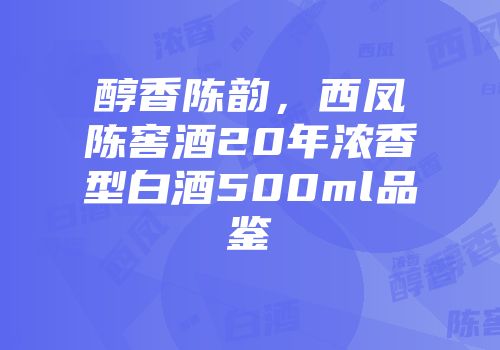 醇香陈韵，西凤陈窖酒20年浓香型白酒500ml品鉴