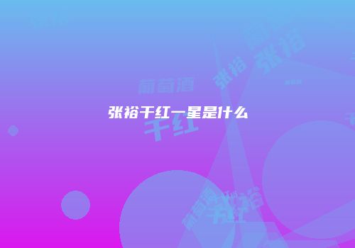 张裕干红一星是什么