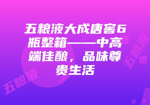 五粮液大成唐窖6瓶整箱——中高端佳酿，品味尊贵生活